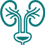 icono especialidad urología